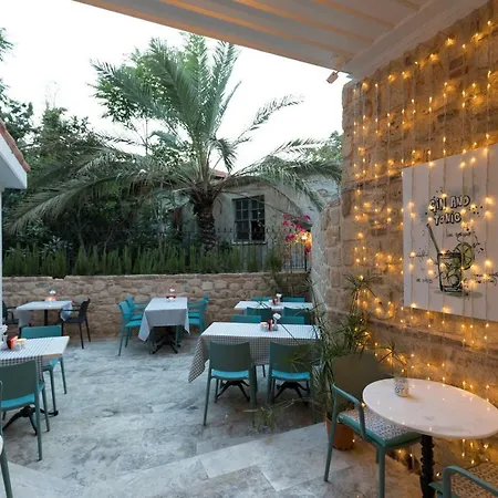 Delight Deluxe Hotel 4*